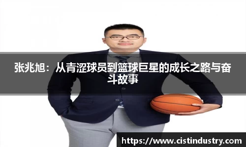 BB贝博登录入口