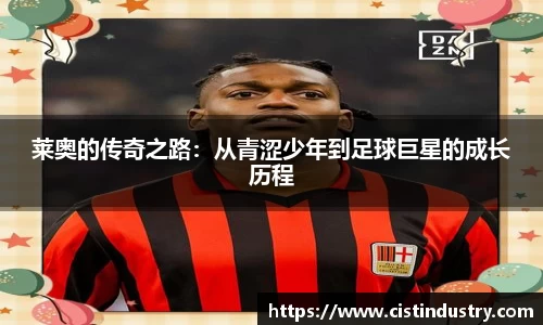 BB贝博登录入口